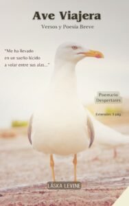 Poemario despertares